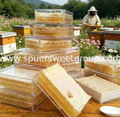 Bulk Export Top Quality Pure Natural Raw Honey Food Grade Light Amber Mature Wholesale in 500g Glass Jar Premium