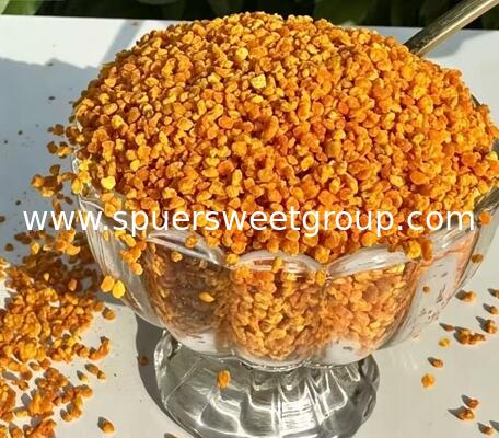 Wholesale Food Grade 100% Pure Natural Mixed Rape Sunflower Bee Pollen Powder Organic Bulk Supplement Factory Direct Sale