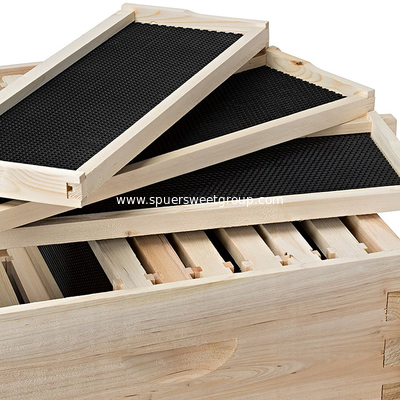 8/10 Frame Langstroth Honey Bee Hive Box