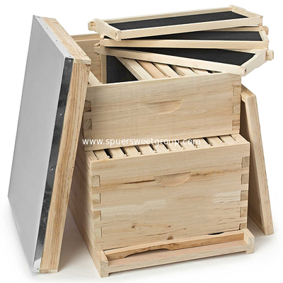 8/10 Frame Langstroth Honey Bee Hive Box