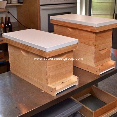 Beekeeping4/ 5 Frames Wooden Bee Nuc Boxes for queen bees