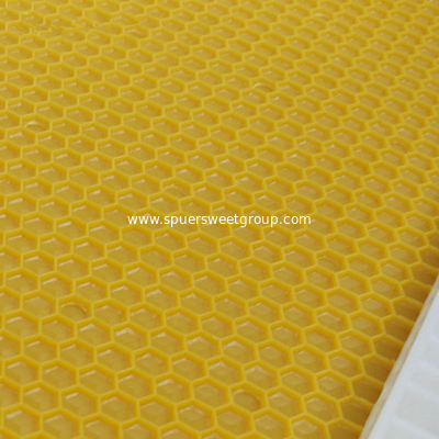 Plastic Frame with Foundation Sheet Langstroth Plastic Bee Hive Frame