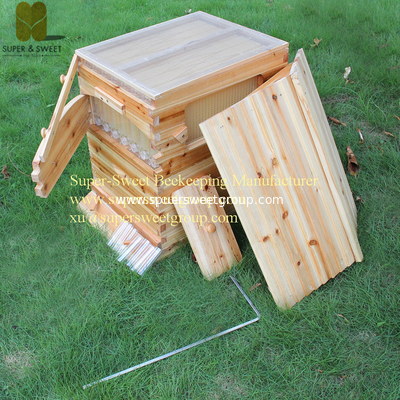 Factory Supply Australian Auto Beehive Honey Bee Box for Sale Automatic Wood Flow Bee Hive