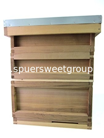 China Custimized Red Cedar British Beehive UK Bee Box with National Pine Wood Bee Hive Frames