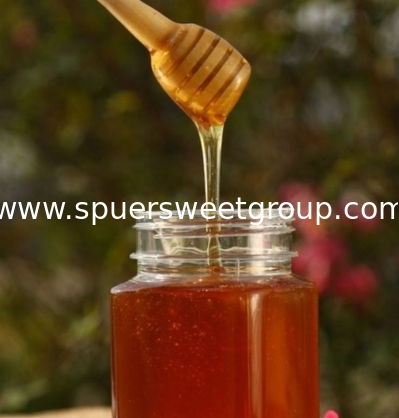 Super Sweet High Quality Pure Natural Bee Sidr/sider/jujube Honey Bulk Price Raw Bee Honey From China  Packaging for Healthcare
