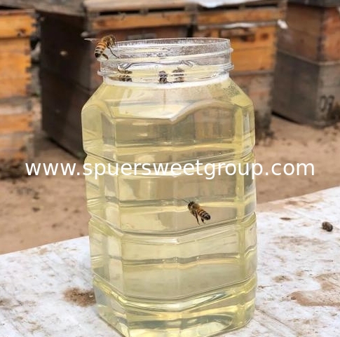 Premium Organic Acacia Honey Raw Natural Pure Sustainably Unprocessed Bulk Export Quality Acacia Honey Abeja De Miel Pura