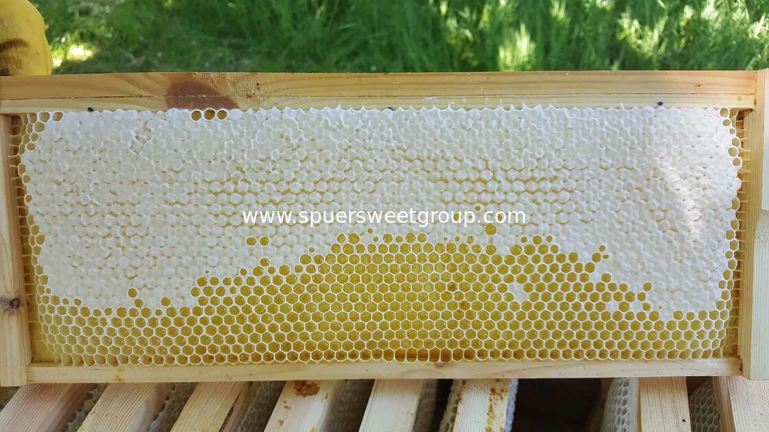 beehive honey All Natural Raw Honeycomb 100% Honey Pure  a whole frame Raw Honey Comb All Natural Edible Honey Combs Raw Edible