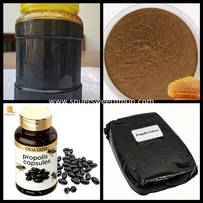 Wholesale 98% Pure Natural Raw Propolis Extract Block Water Alcohol Soluble High Flavonoids Food Grade Bulk for Immunity