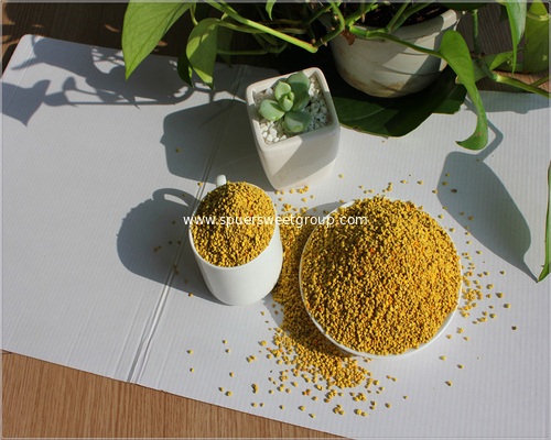 Polvo de polen de abeja natural de alta calidad Suministro de fábrica Polvo de polen Muestra libre Polvo de abeja orgánico para la venta