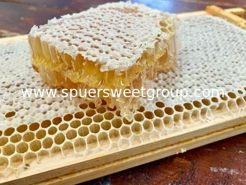 Peinado de abejas de calidad alimenticia 100% puro comestible con marco completo Miel de colmena 2 kg