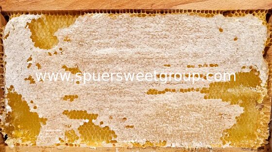 Miel de panal de abeja natural crudo Miel pura orgánica multifloral a granel al por mayor Panal comestible con marco entero 2 kg de cultivo silvestre