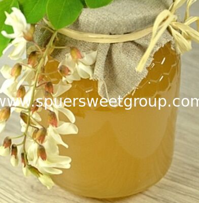 Wholesale Premium 100% Pure Natural Raw Acacia Honey EU Standard Food Grade Export 500g Bottle Mild Flavor Daily Wellness